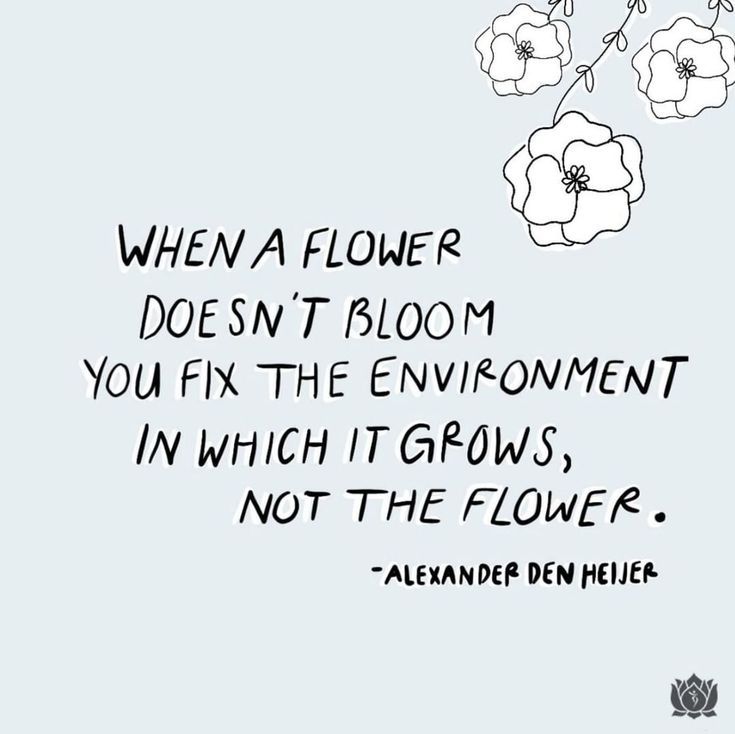 an image of flowers with the quote when a flower doesn't bloom you fix the environment in which it grows, not the flowers