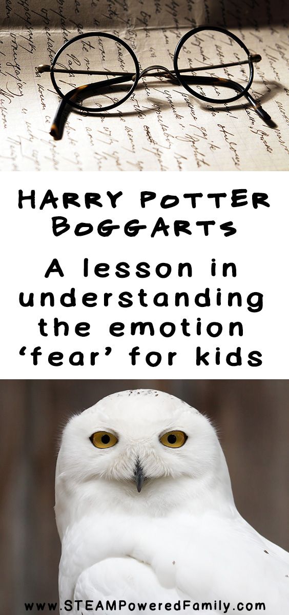 a white owl with glasses on top of it's head and the words harry potter written