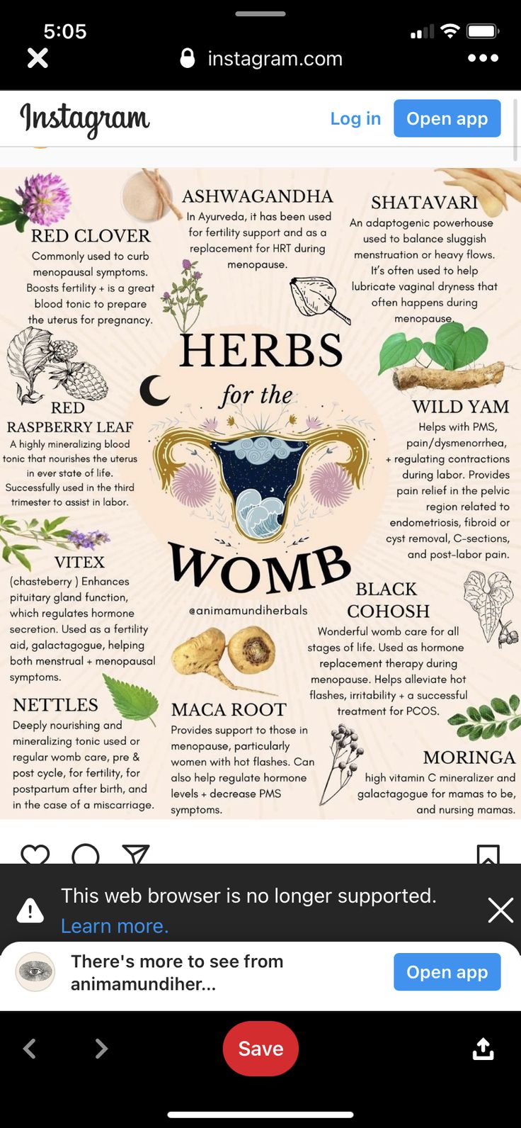 Herbs For Fertility, Kitchen Witch Recipes, Womb Healing, Balance Hormones Naturally, Magic Herbs, Fertility Boost, Feminine Health, Herbal Tea Blends, Herbs For Health