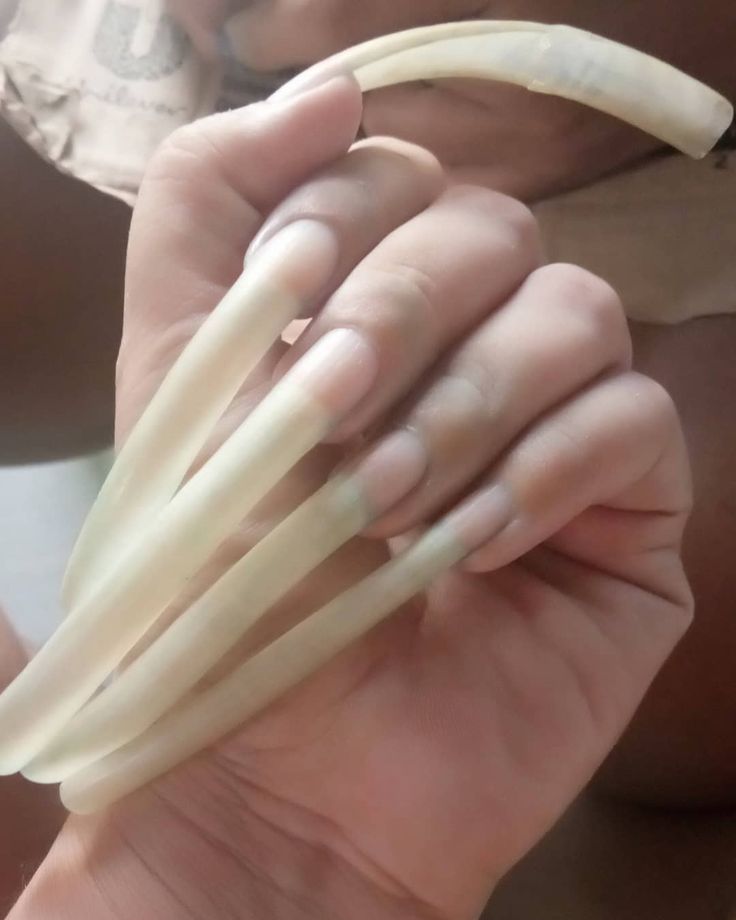 #longnails💅 Natural Fingernails, Long Red Nails, Long Natural Nails, Long Fingernails, Curved Nails, Japanese Folklore, Finding Dory, Long Red, Folk Tales