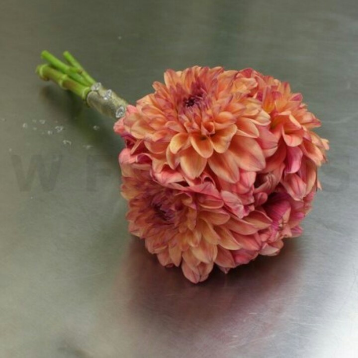 a pink flower sitting on top of a metal table