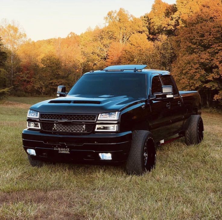 a black truck parked in the middle of a field