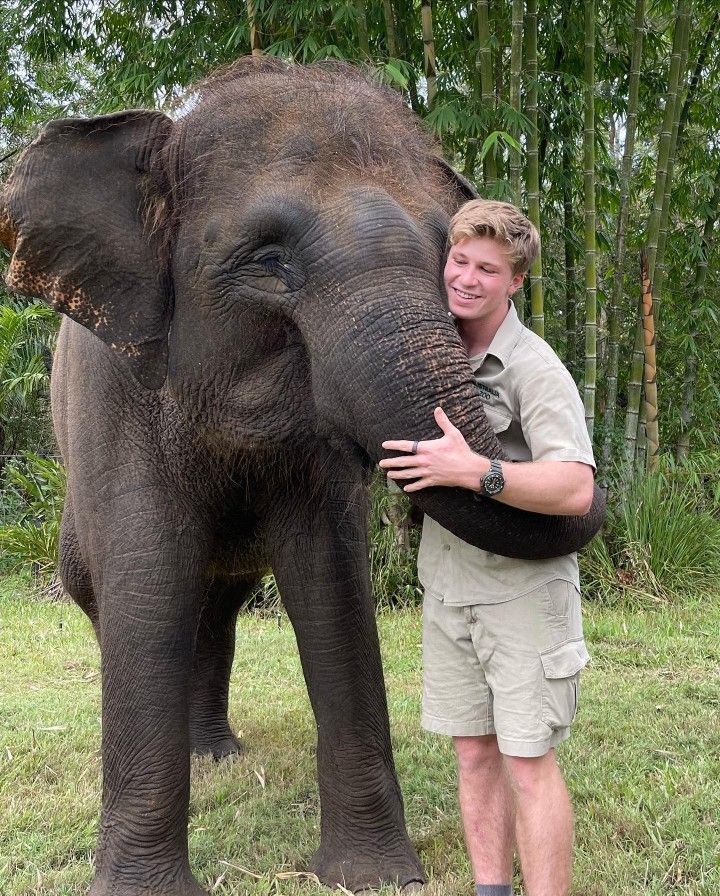 a man standing next to an elephant on top of a lush green field