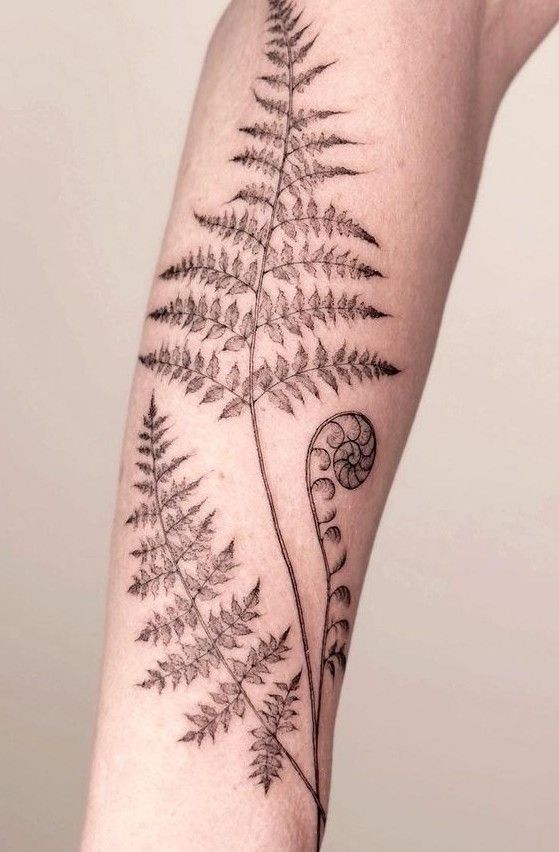 a fern tattoo on the left arm is shown in black and grey ink, with an intricate design