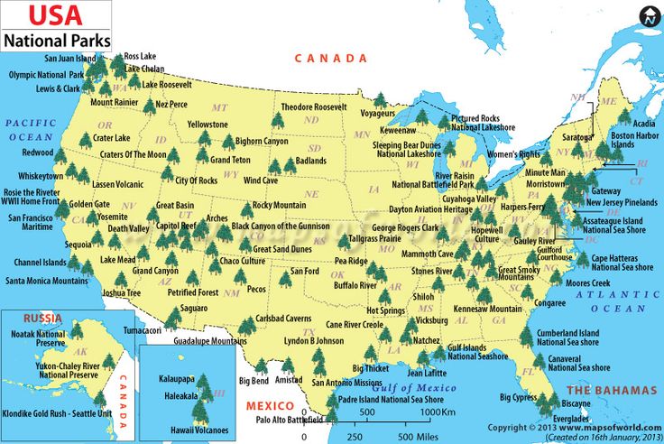 a map of the usa with trees on it and words that read usa national parks