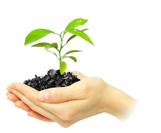 a person's hand holding a small plant with dirt in it, against a white background