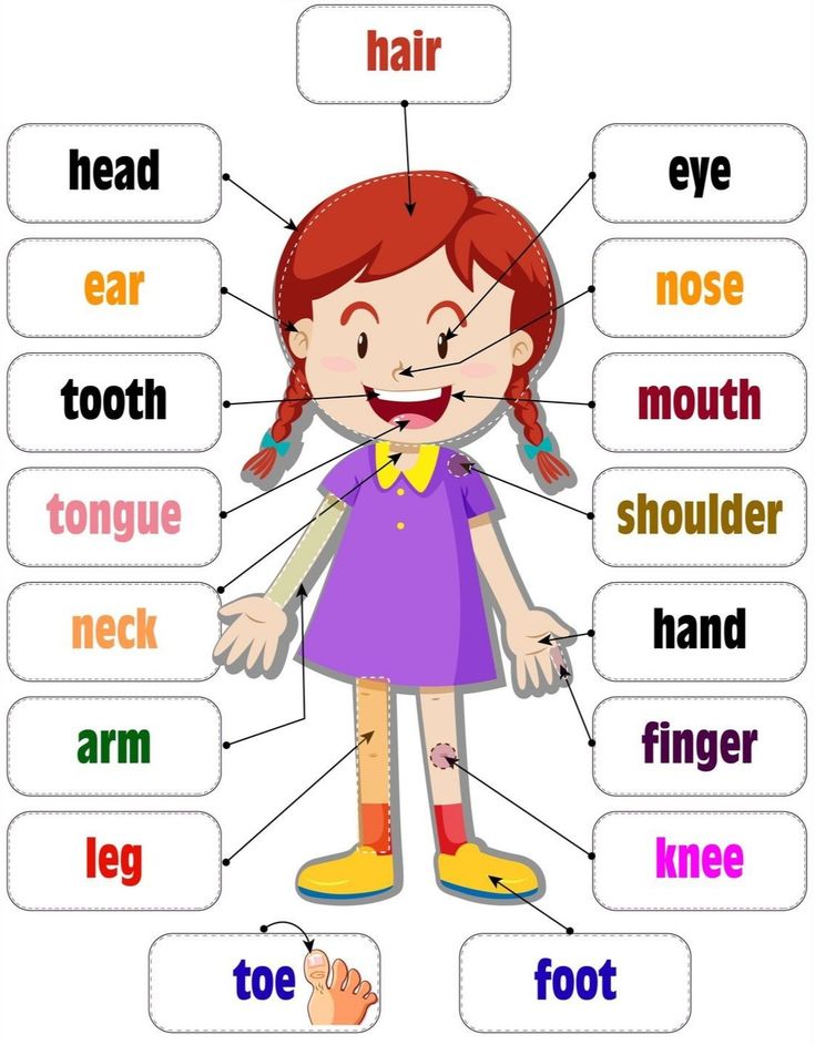 Parts Of The Body For Kids, Body Parts Preschool Activities, Body Parts For Kids, Preschool Charts, Body Parts Preschool, Teach English To Kids, Grammar For Kids, English Activities For Kids, Kids Worksheets Preschool