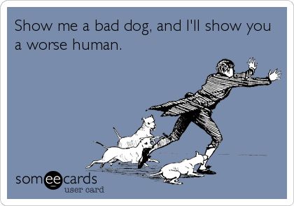 Show me a bad dog, and I'll show you a worse human. So Very True. Dog Sick, Pit Bull Love, It's Funny, Bad Dog, Truth Hurts, Wild Dogs, E Card, Someecards, Animal Quotes