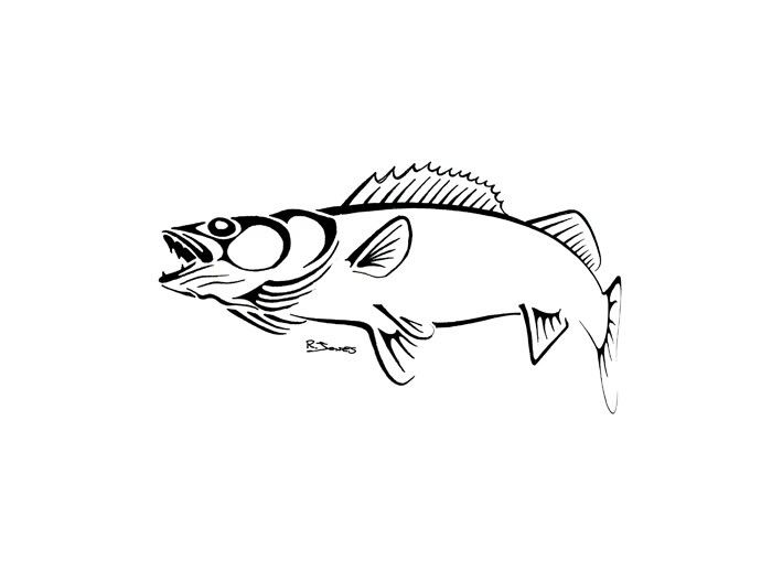 a black and white drawing of a fish