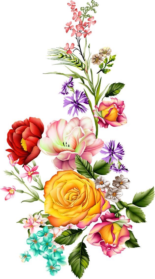 a bouquet of flowers on a white background