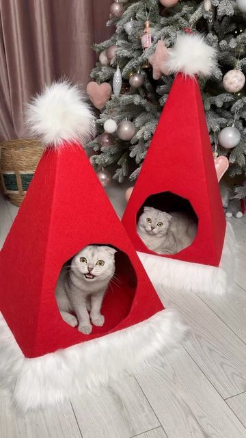 two cats are sitting in red cones near a christmas tree