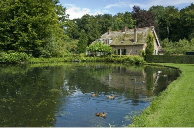 some ducks swimming in the water near a house