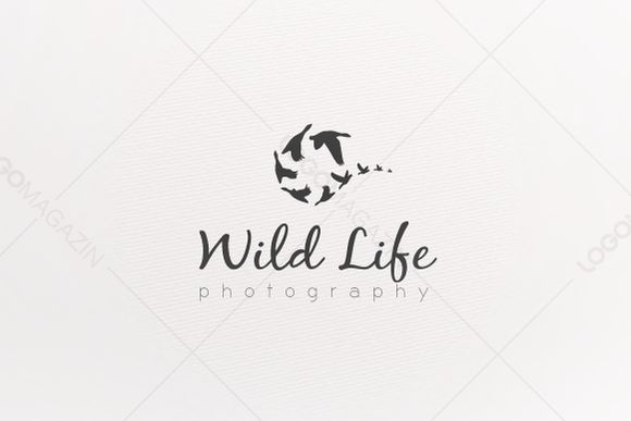 the wild life photography logo is shown in black and white, with an abstract design