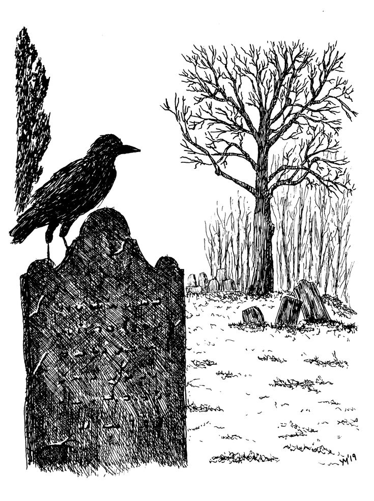 a drawing of a bird sitting on top of a stone wall next to a tree