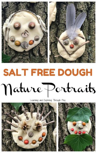 the cover of salt free dough nature portraits with pictures of bugs, leaves and acorns