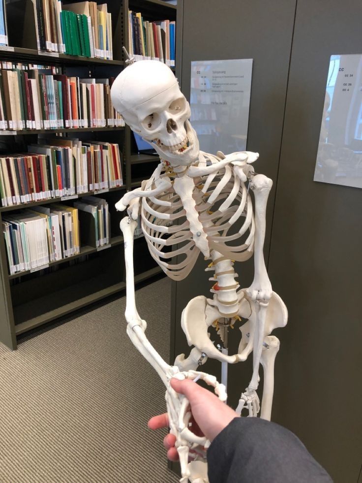 a human skeleton being held up in front of a bookcase with books on the shelves