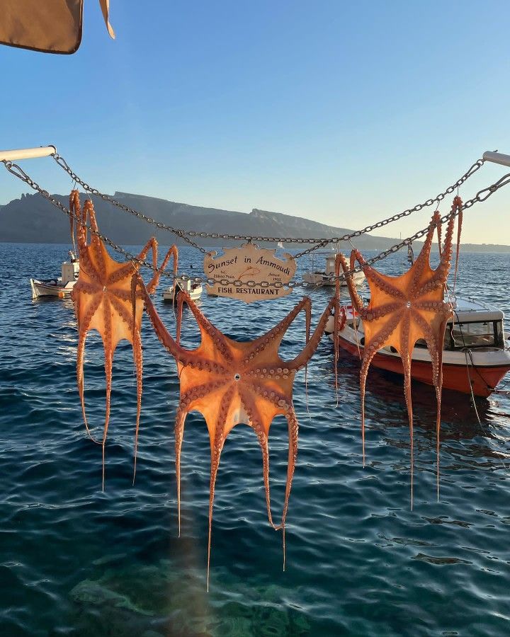 some orange leaves are hanging from chains in the water