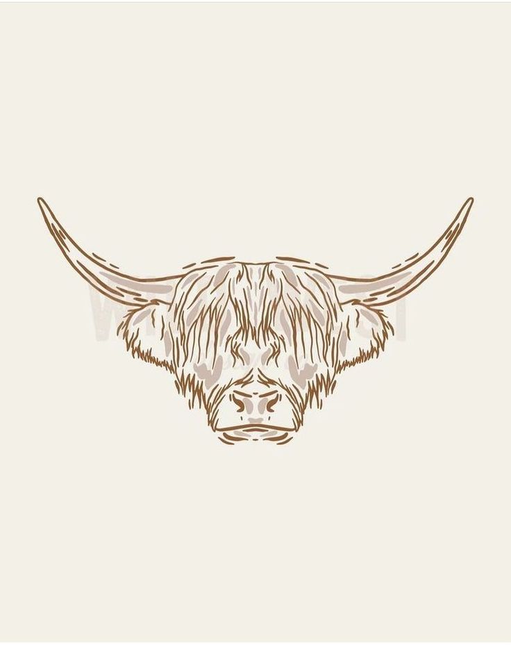 a bull's head with long hair and horns drawn in brown ink on a white background