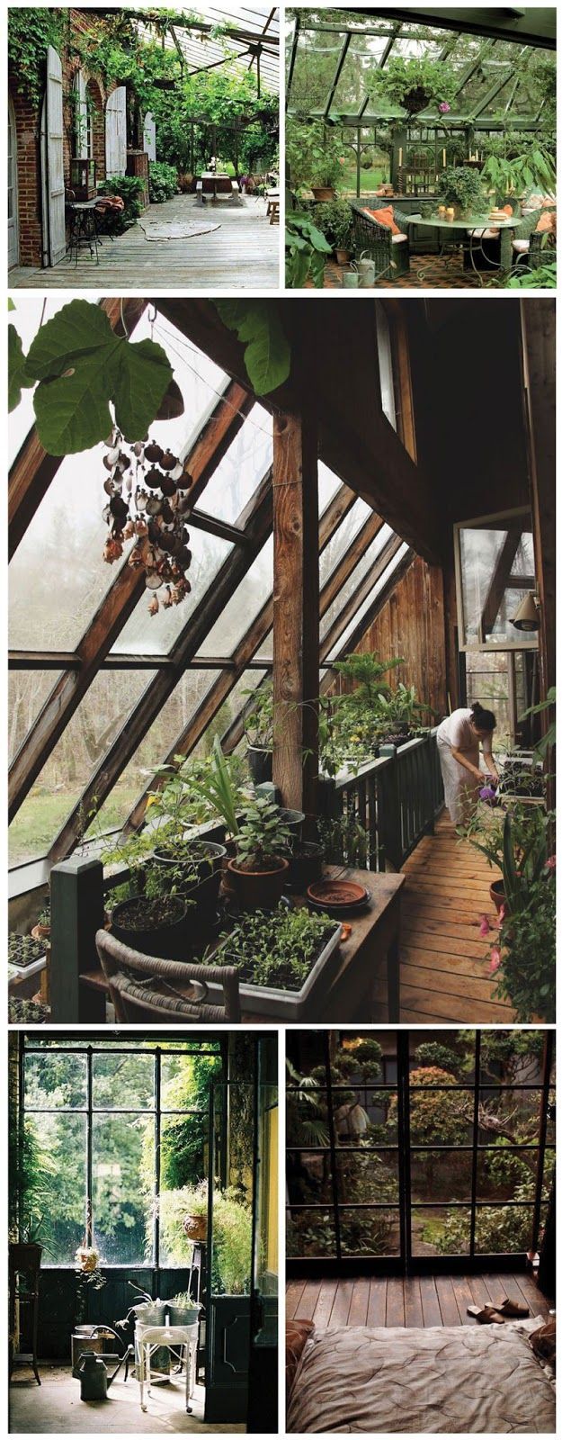 the inside of a greenhouse with lots of plants