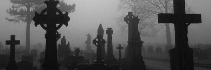 a cemetery with many crosses in the fog