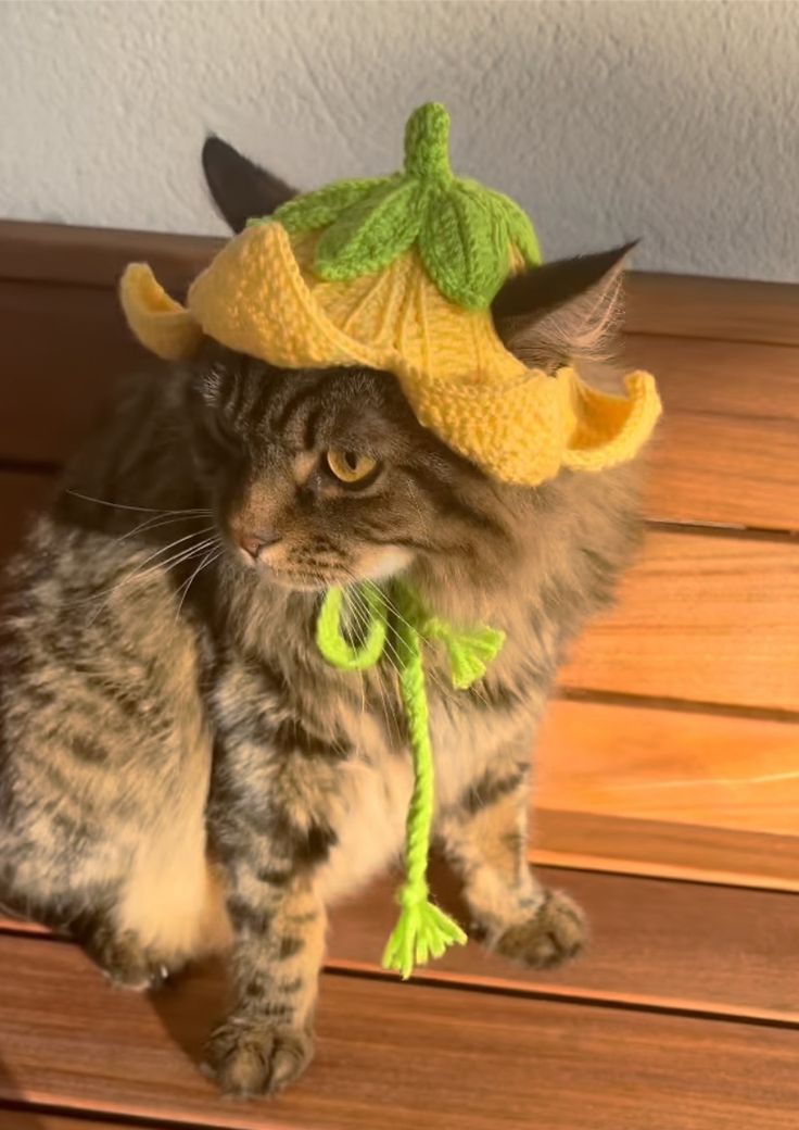 a cat wearing a hat with horns on it's head sitting on a bench