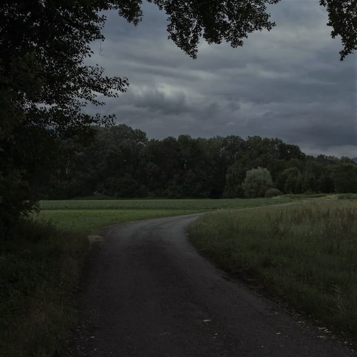 an empty dirt road in the middle of a grassy field with trees on both sides