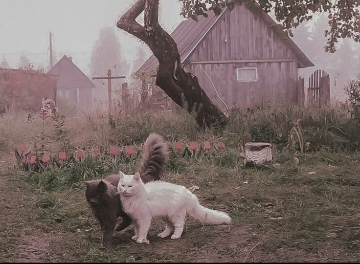 two cats standing in the grass near a tree