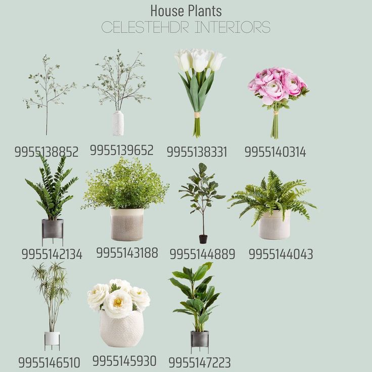 a bunch of plants that are in vases on a table with numbers below them