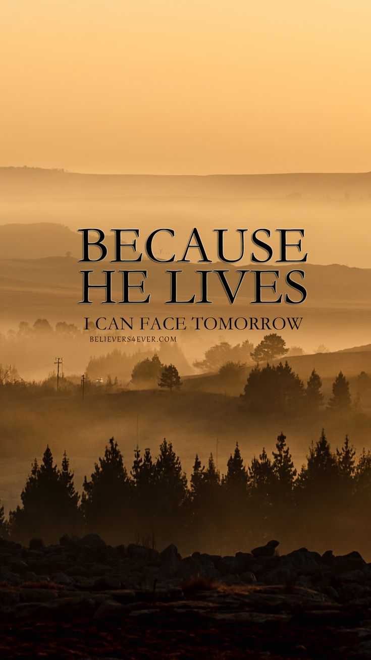 the cover of because he lives by i can face tomorrow, featuring trees and fog