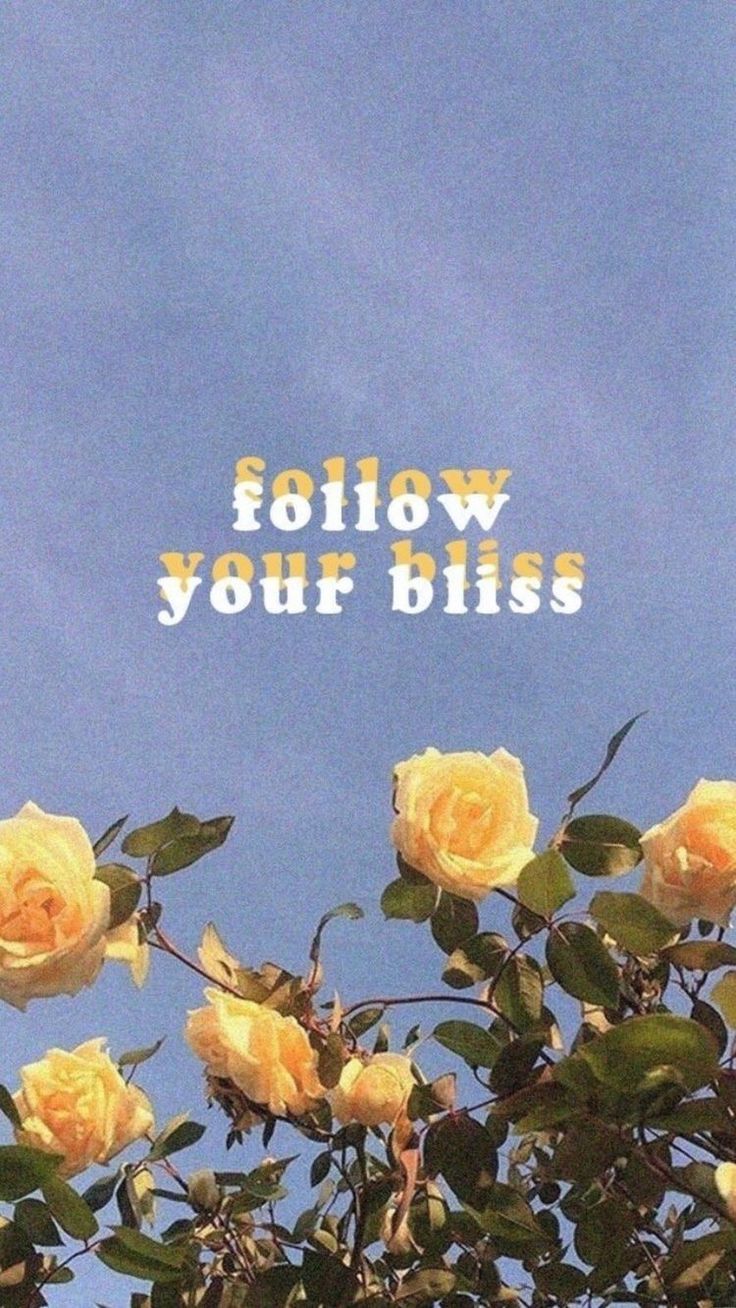 yellow roses against a blue sky with the words follow your bliss