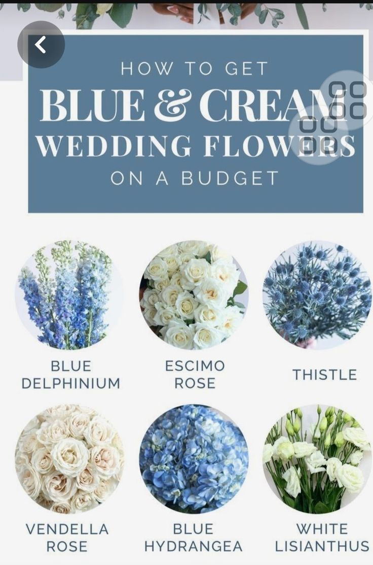 blue and cream wedding flowers on a budget sheet with text overlay that reads how to get blue and cream wedding flowers on a budget sheet