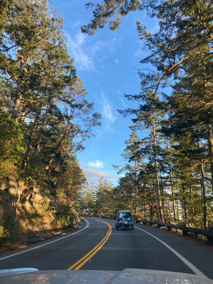 a car driving down the road in front of some tall pine trees and blue sky