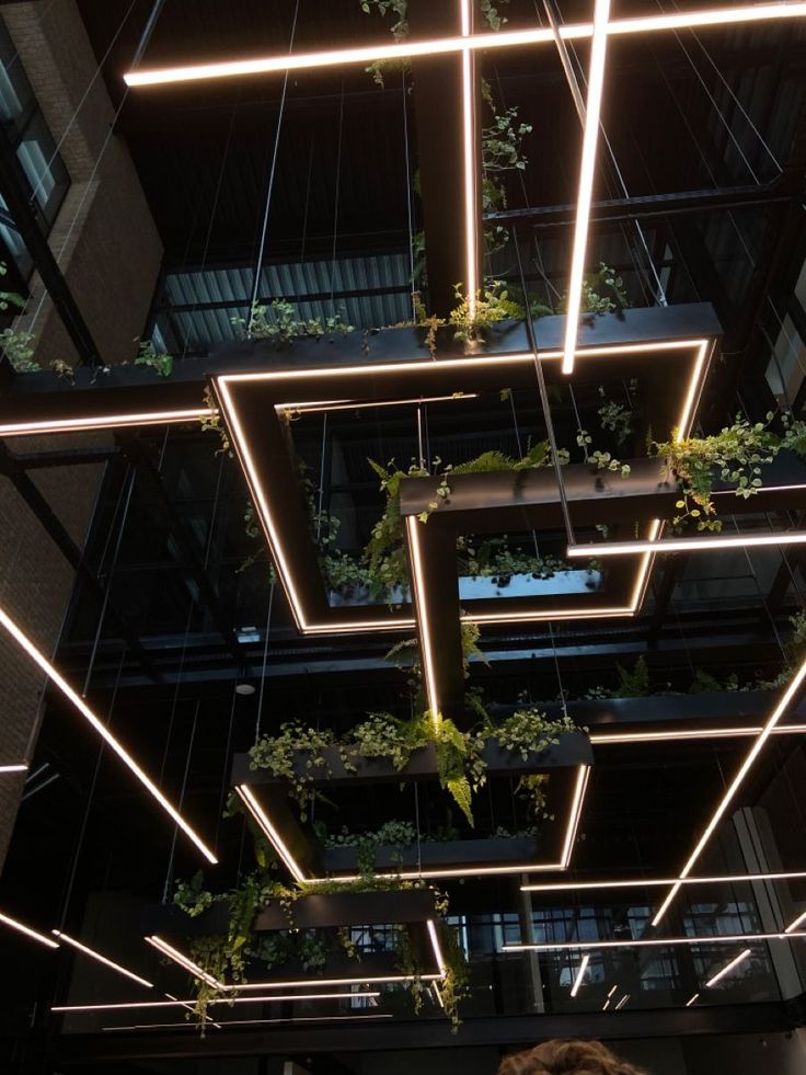 a man standing in front of a building with plants hanging from the ceiling