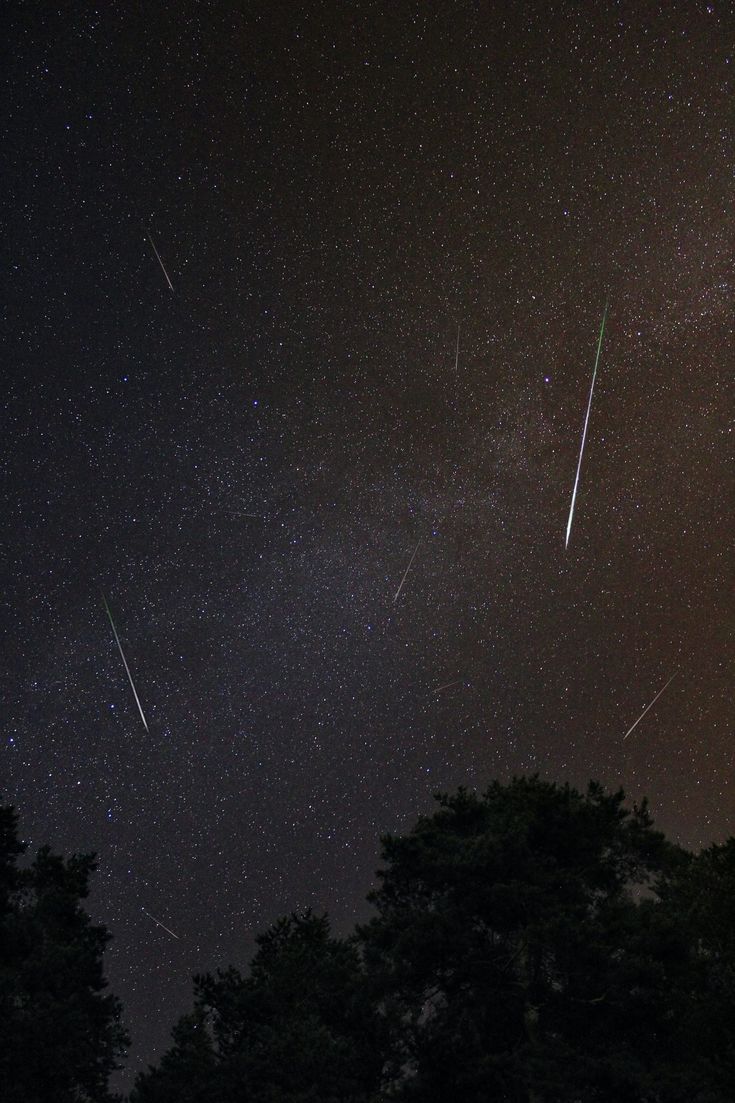 the night sky is filled with stars and shooting comets in the distance above some trees