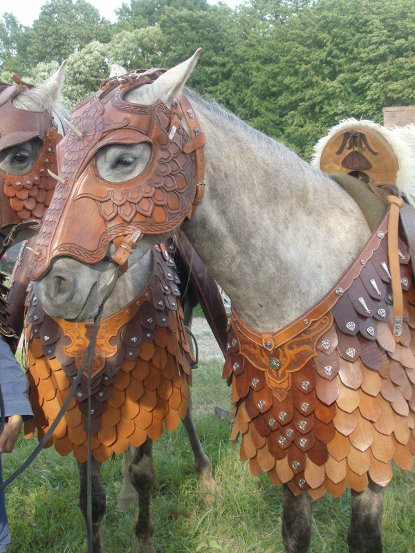 two horses with leather coverings on their heads, one is wearing an owl mask