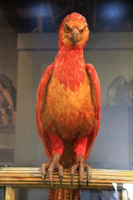 a red and yellow bird sitting on top of a wooden pole in front of a painting