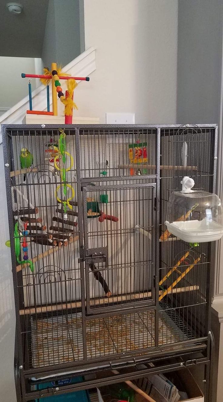 a bird cage filled with birds and toys