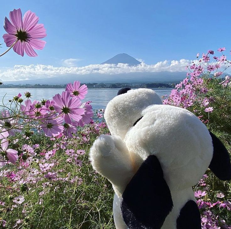 a stuffed animal sitting on top of a lush green field next to flowers and a lake