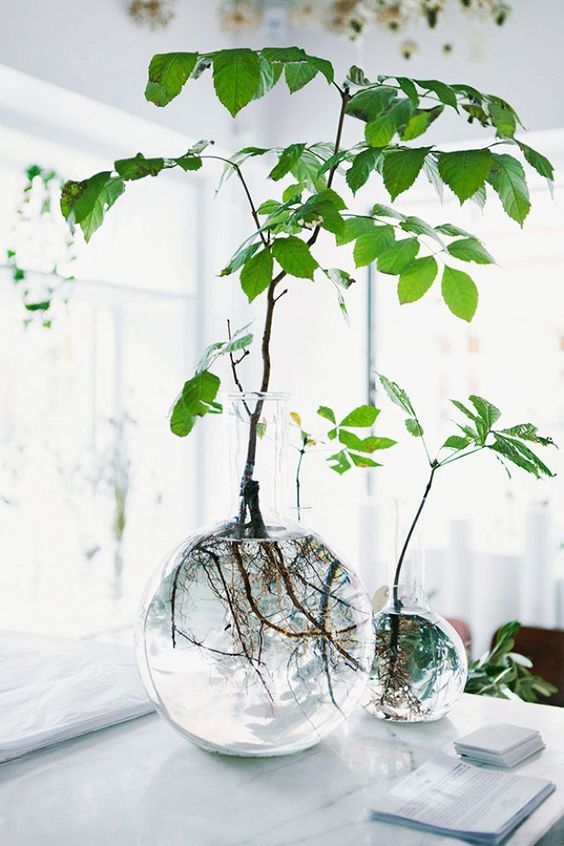 two vases with plants in them sitting on a table