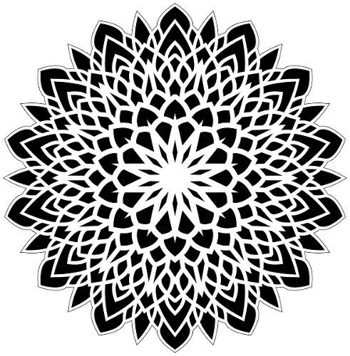 an abstract black and white flower design