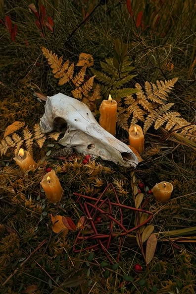 some candles are sitting on the ground next to a cow's skull and leaves