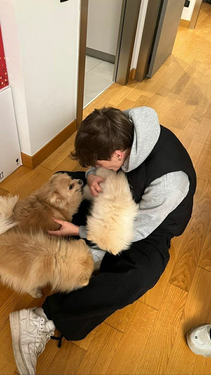 a person sitting on the floor with two dogs in their lap and one dog being petted