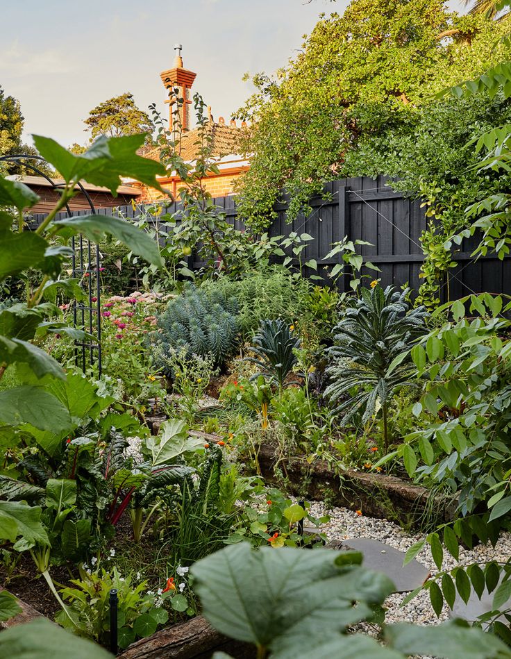 an outdoor garden with lots of plants and trees in the background, surrounded by greenery