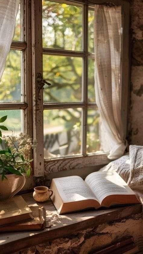 an open book sitting on top of a window sill next to a potted plant