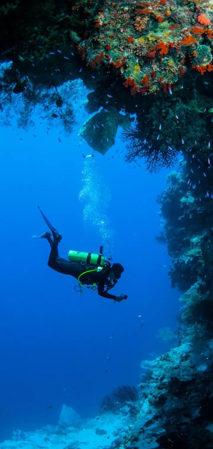 a person scubas in the water near a coral reef