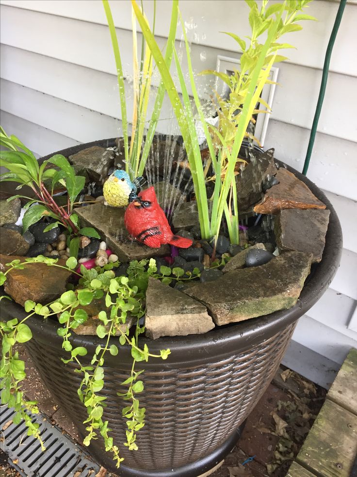 a bird statue sitting on top of a planter filled with water and plants in front of a house