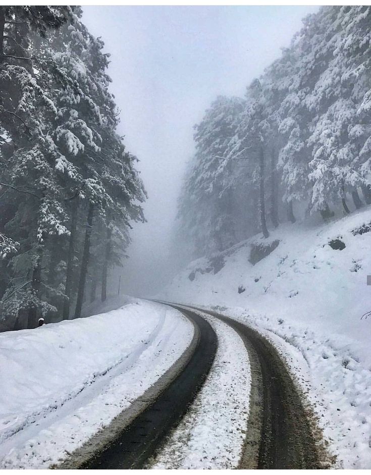 the road is covered in snow as it travels through the woods on a snowy day