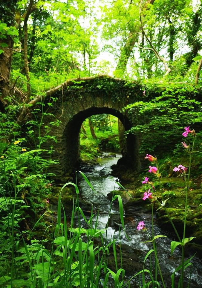 a stone bridge in the middle of a forest with wildflowers growing around it