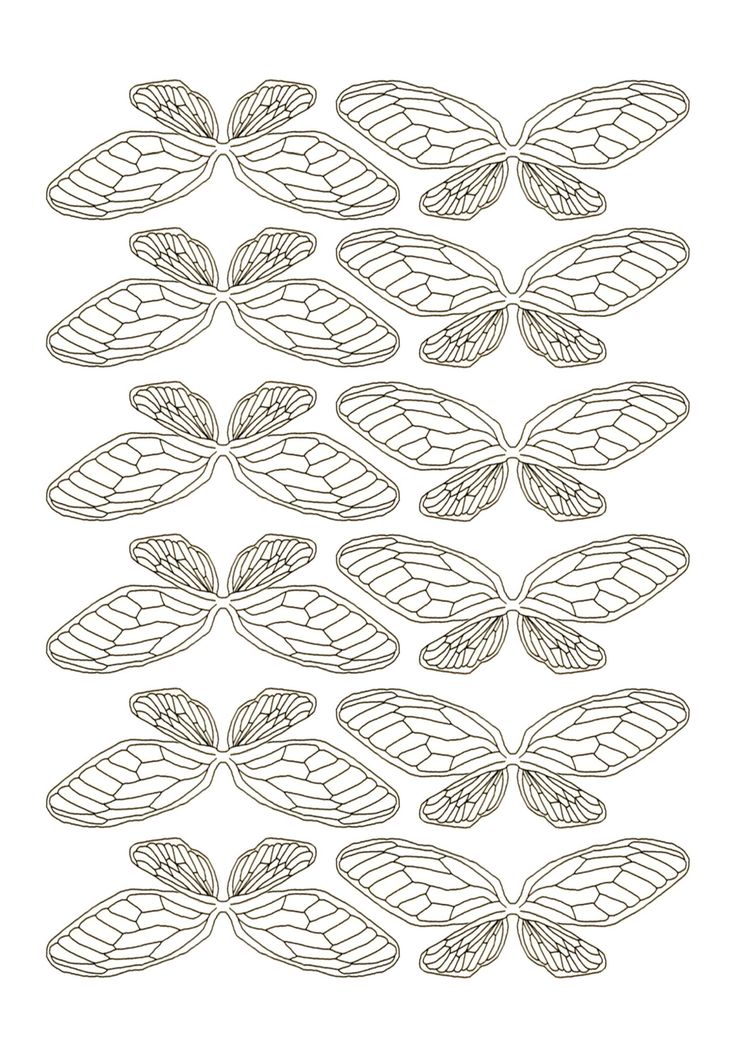 a drawing of some leaves on a white background, with the outlines for each leaf