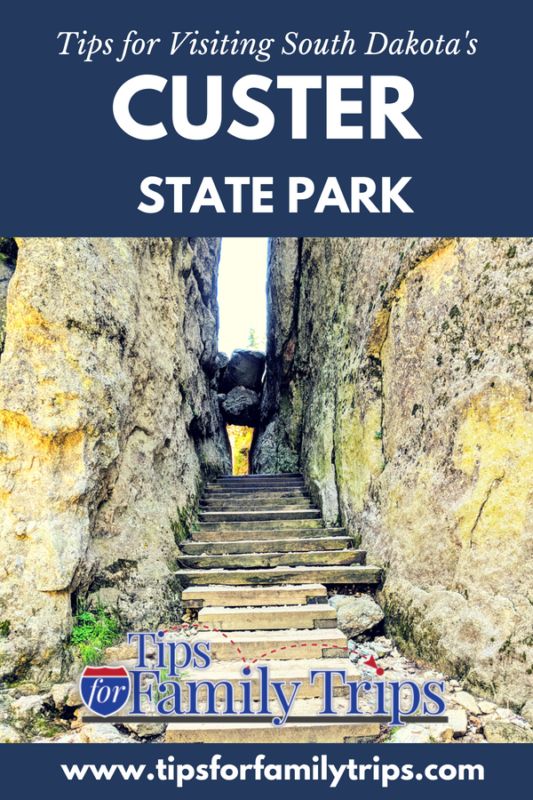 steps leading up to the top of a cliff with text that reads tips for visiting south dakota's custer state park